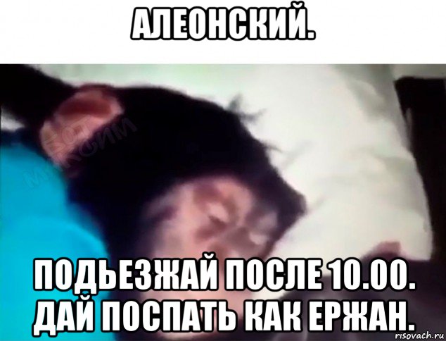 алеонский. подьезжай после 10.00. дай поспать как ержан., Мем Ержан