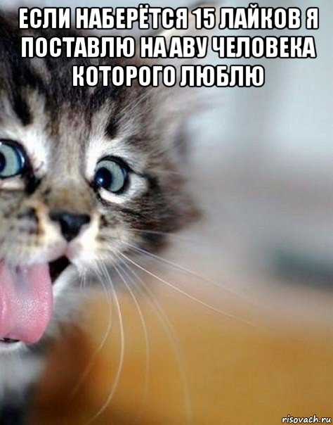 если наберётся 15 лайков я поставлю на аву человека которого люблю 