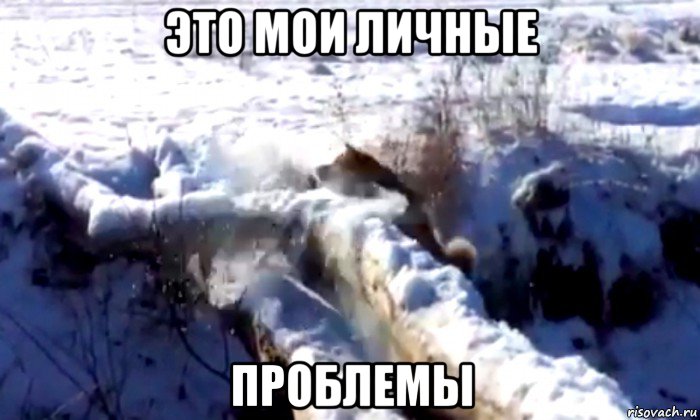 это мои личные проблемы