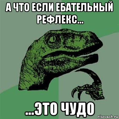 а что если ебательный рефлекс... ...это чудо, Мем Филосораптор