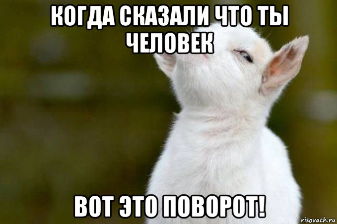 когда сказали что ты человек вот это поворот!