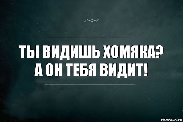 Ты видишь хомяка? А он тебя видит!, Комикс Игра Слов