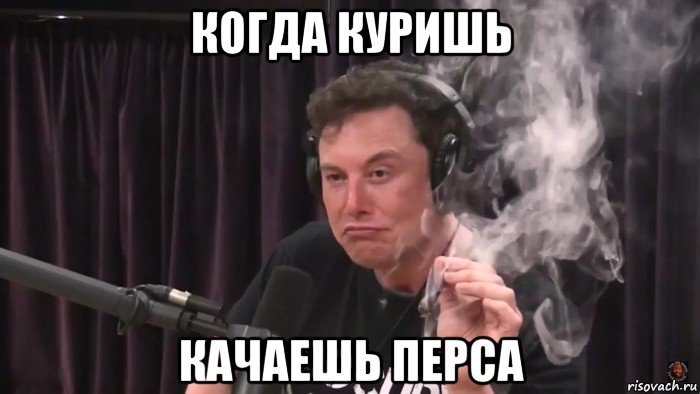 когда куришь качаешь перса, Мем Илон Маск