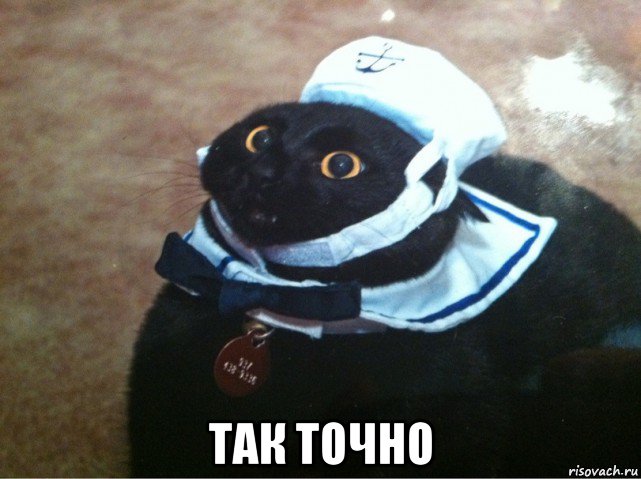  так точно, Мем Капитан лодка
