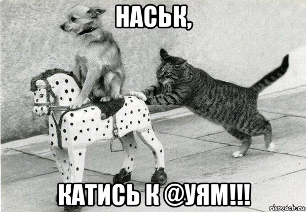 наськ, катись к @уям!!!