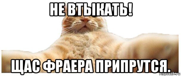 не втыкать! щас фраера припрутся.