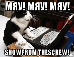 мяу! мяу! мяу! showfrom thescrew!, Мем Кошка за компьютером