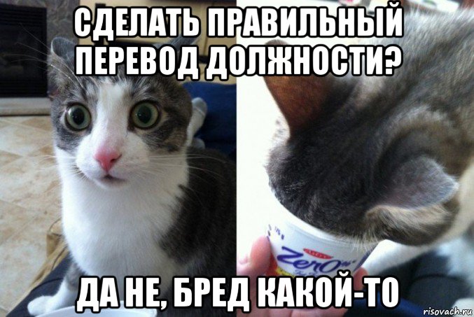 сделать правильный перевод должности? да не, бред какой-то