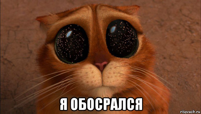  я обосрался, Мем Кот из шрека