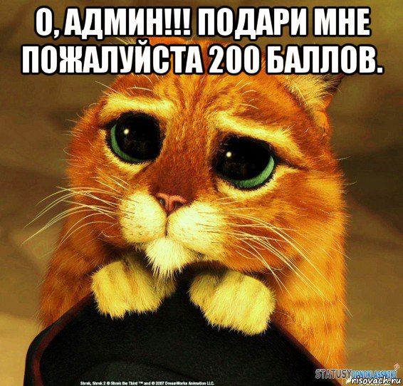 о, админ!!! подари мне пожалуйста 200 баллов. , Мем Котик из Шрека