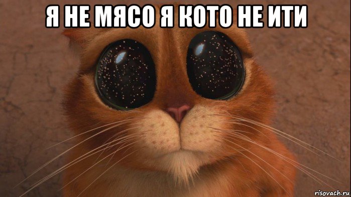 я не мясо я кото не ити 