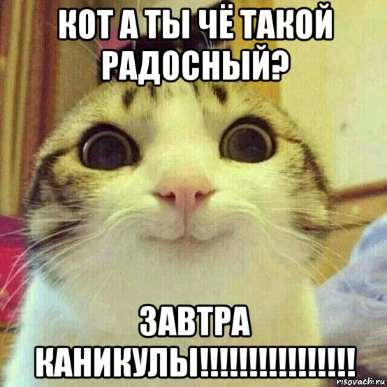 кот а ты чё такой радосный? завтра каникулы!!!!!!!!!!!!!!!!, Мем       Котяка-улыбака