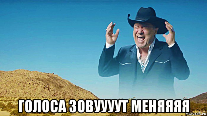  голоса зовуууут меняяяя