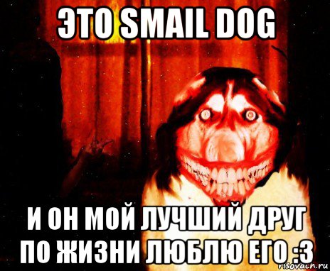 это smail dog и он мой лучший друг по жизни люблю его :3, Мем Крипи Хаски