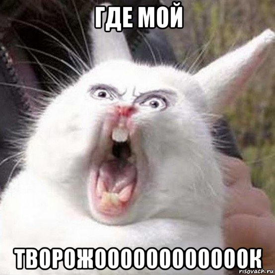 где мой творожоооооооооооок