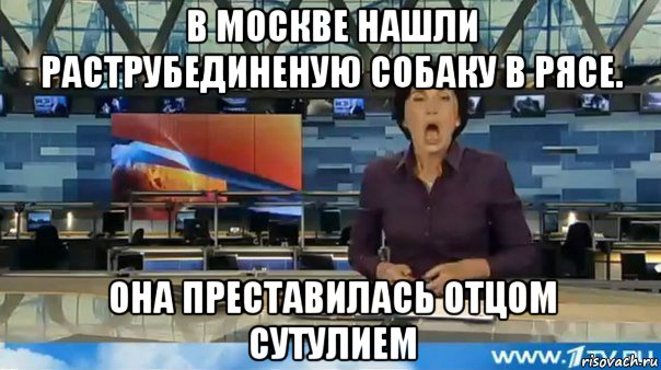 в москве нашли раструбединеную собаку в рясе. она преставилась отцом сутулием
