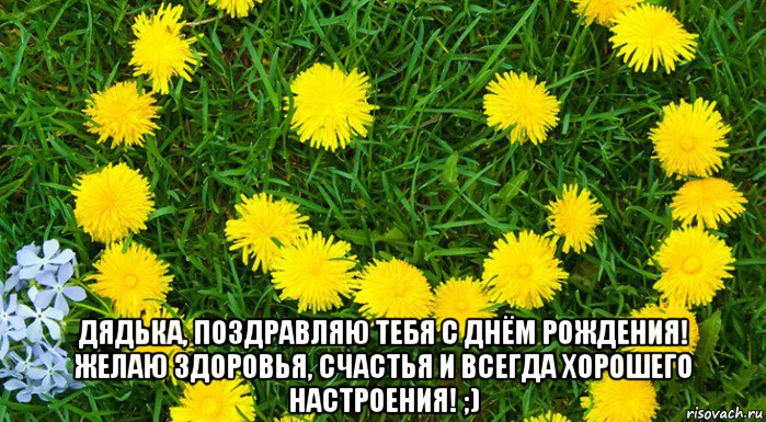  дядька, поздравляю тебя с днём рождения! желаю здоровья, счастья и всегда хорошего настроения! ;), Мем Одуванчик