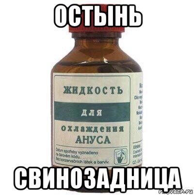 остынь свинозадница