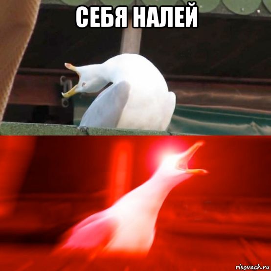себя налей 