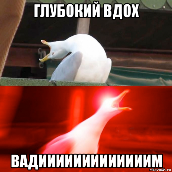 глубокий вдох вадииииииииииииим