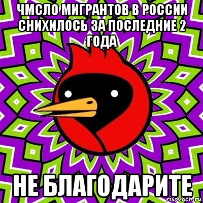 чмсло мигрантов в россии снихилось за последние 2 года не благодарите, Мем Омская птица