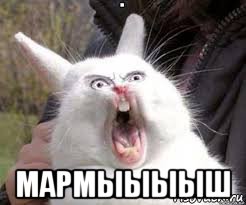  мармыыыыш, Мем Орущий кролик