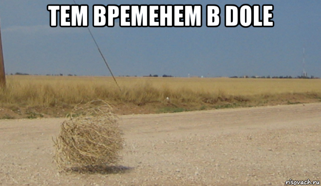 тем временем в dole , Мем Перекати поле
