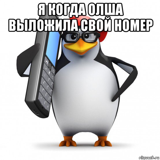 я когда олша выложила свой номер , Мем   Пингвин звонит