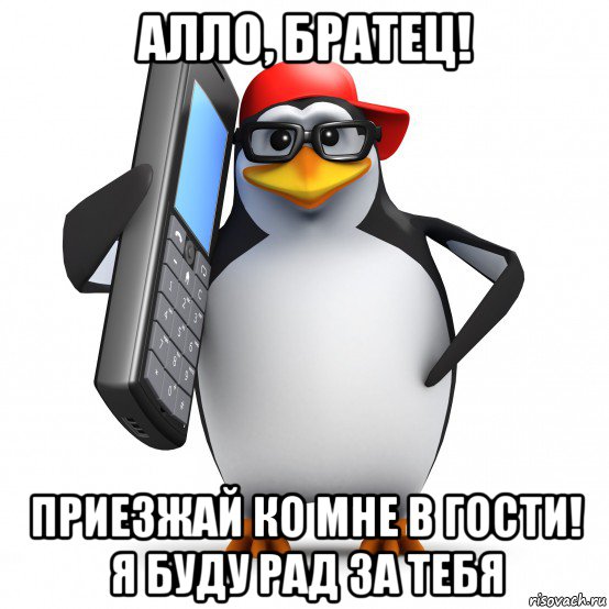 алло, братец! приезжай ко мне в гости! я буду рад за тебя