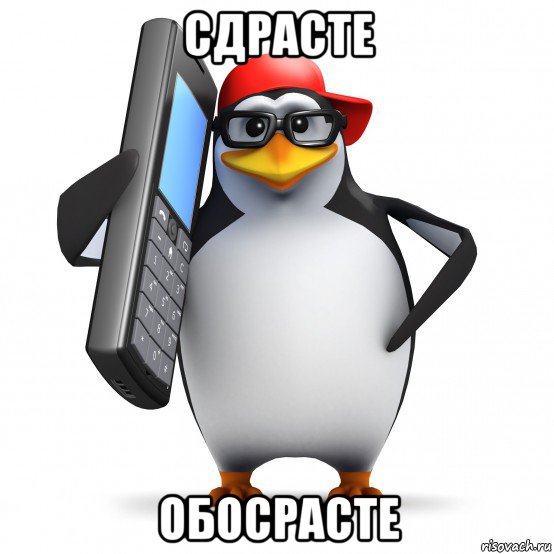 сдрасте обосрасте, Мем   Пингвин звонит