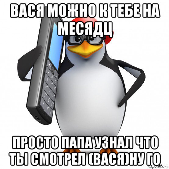 вася можно к тебе на месядц просто папа узнал что ты смотрел (вася)ну го, Мем   Пингвин звонит