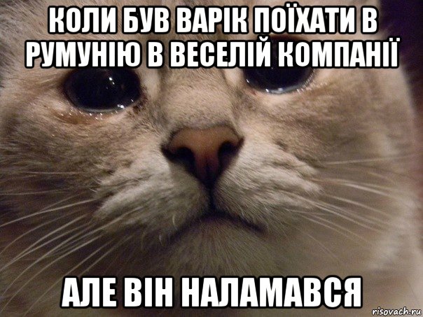 коли був варік поїхати в румунію в веселій компанії але він наламався, Мем Плачущий кот