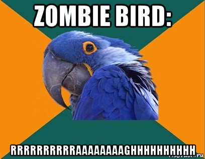 zombie bird: rrrrrrrrrraaaaaaaaghhhhhhhhhh, Мем Попугай параноик