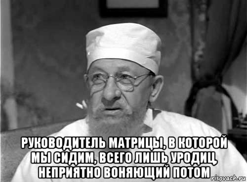  руководитель матрицы, в которой мы сидим, всего лишь уродиц, неприятно воняющий потом