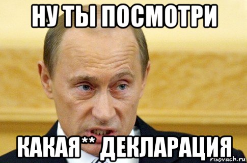 ну ты посмотри какая** декларация, Мем путин