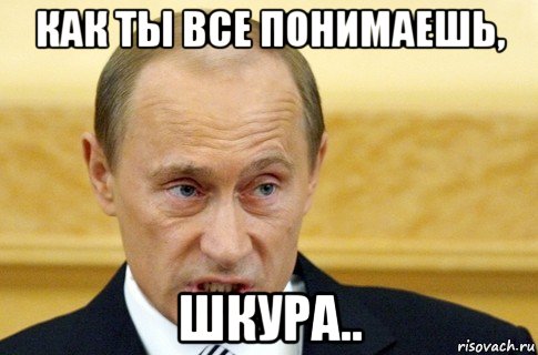 как ты все понимаешь, шкура.., Мем путин