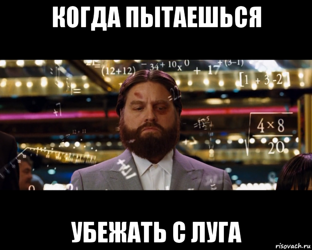 когда пытаешься убежать с луга, Мем Расчеты