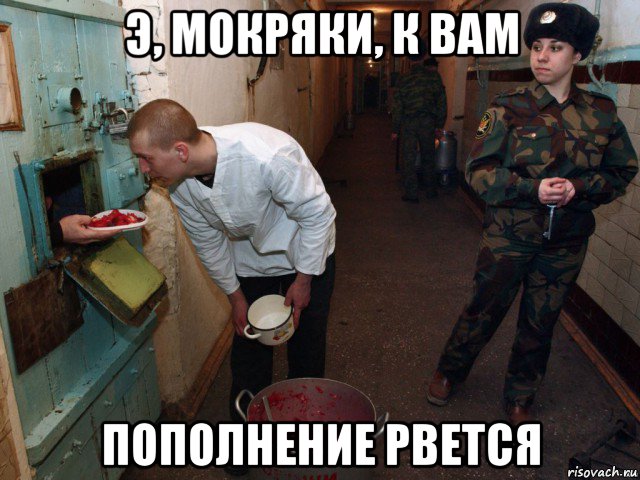 э, мокряки, к вам пополнение рвется