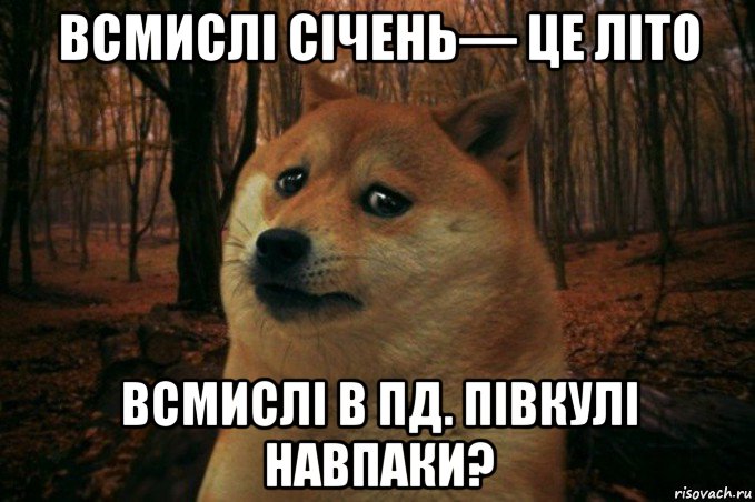 всмислі січeнь— цe літо всмислі в пд. півкулі навпаки?, Мем SAD DOGE