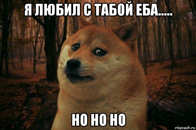 я любил с табой еба..... но но но, Мем SAD DOGE