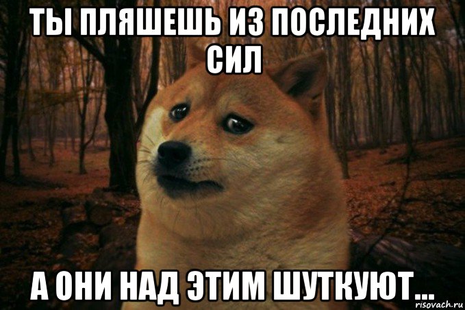 ты пляшешь из последних сил а они над этим шуткуют..., Мем SAD DOGE