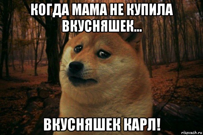 когда мама не купила вкусняшек... вкусняшек карл!, Мем SAD DOGE