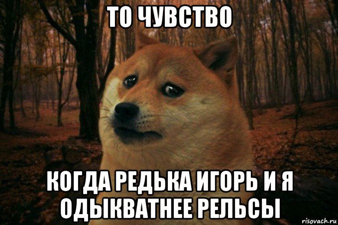 то чувство когда редька игорь и я одыкватнее рельсы, Мем SAD DOGE