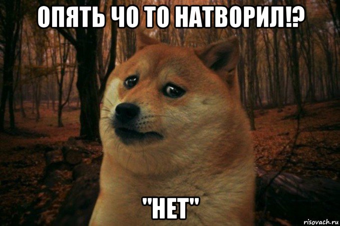 опять чо то натворил!? "нет"