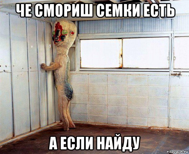че смориш семки есть а если найду