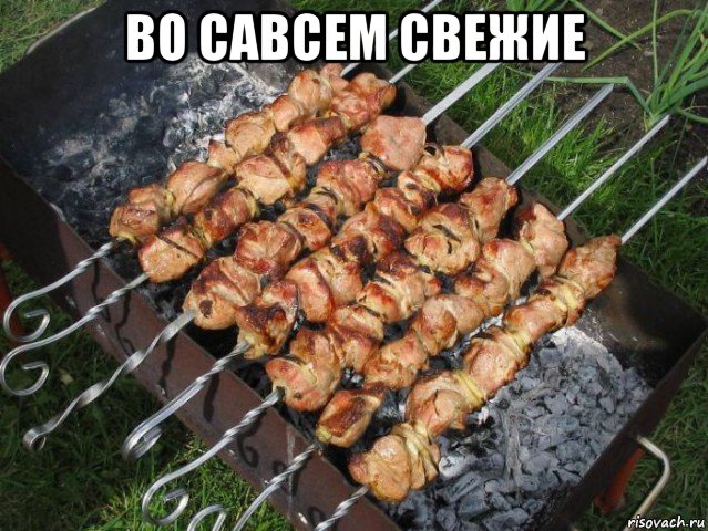 во савсем свежие , Мем шашлык