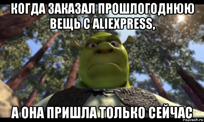 когда заказал прошлогоднюю вещь с aliexpress, а она пришла только сейчас