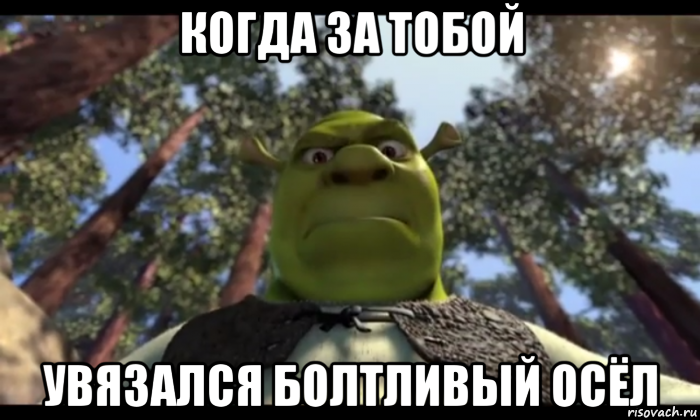 когда за тобой увязался болтливый осёл