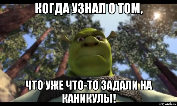когда узнал о том, что уже что-то задали на каникулы!