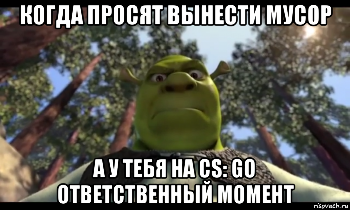 когда просят вынести мусор а у тебя на cs: go ответственный момент